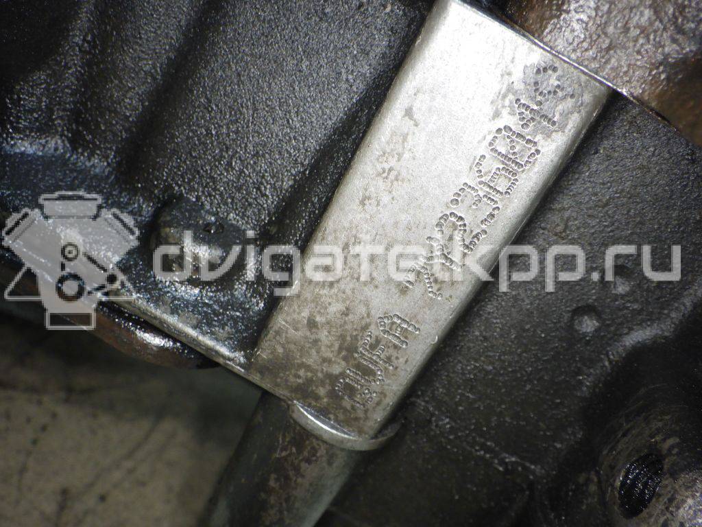 Фото Контрактный (б/у) двигатель P8FB для Ford Transit 85 л.с 16V 2.2 л Дизельное топливо 1709003 {forloop.counter}}