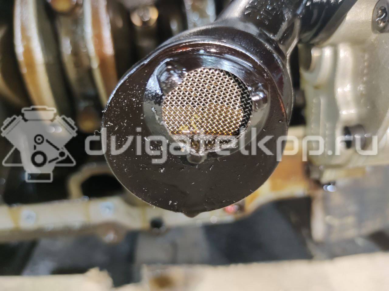 Фото Контрактный (б/у) двигатель CAXA для Volkswagen Tiguan / Eos 1F7, 1F8 / Golf / Passat / Jetta 122 л.с 16V 1.4 л бензин 03C100092 {forloop.counter}}