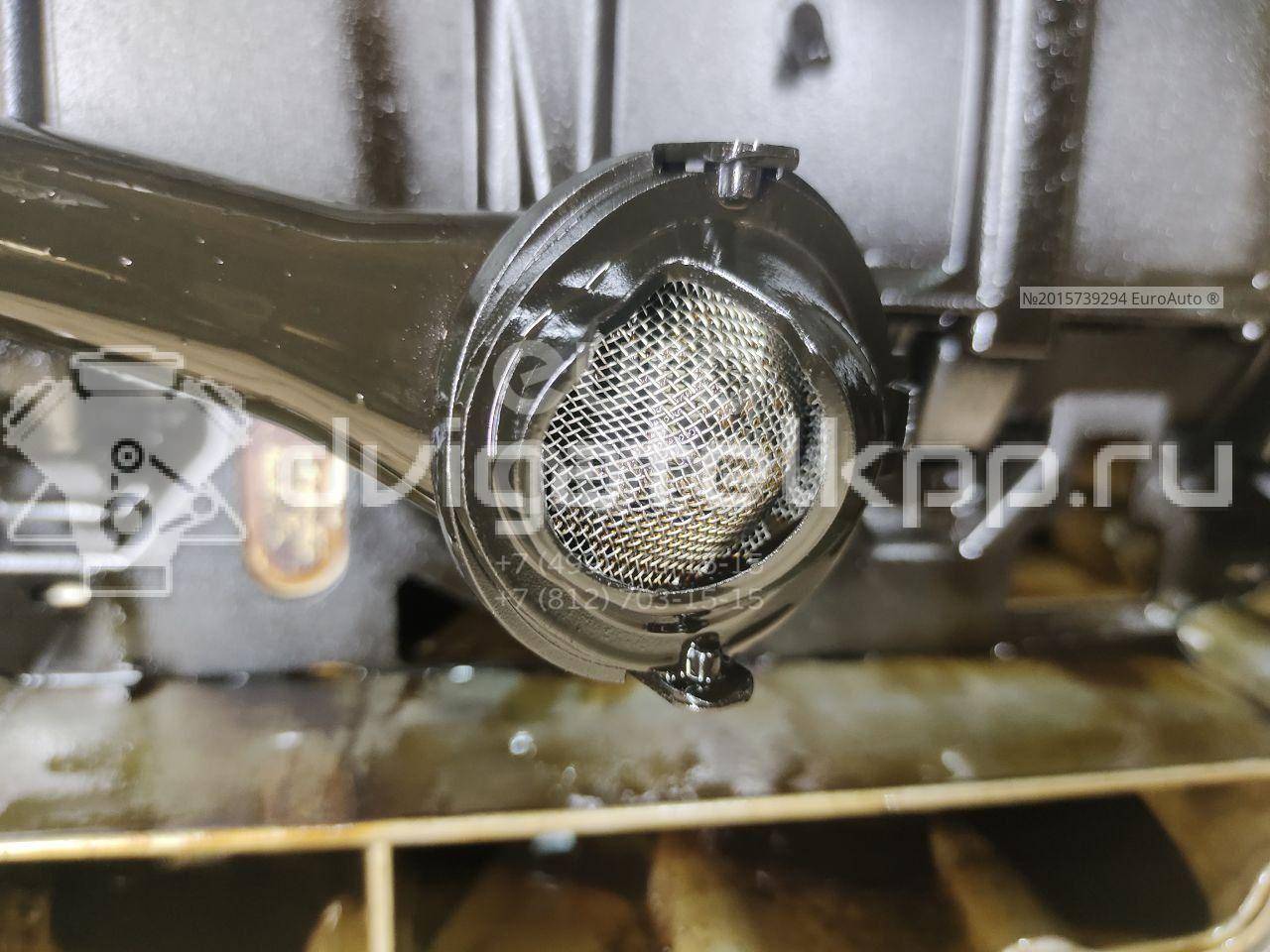 Фото Контрактный (б/у) двигатель CWVA для Volkswagen / Skoda / Seat 110 л.с 16V 1.6 л бензин 04E100038D {forloop.counter}}