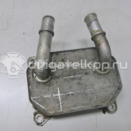 Фото Радиатор масляный  для Ford Galaxy / S-Max