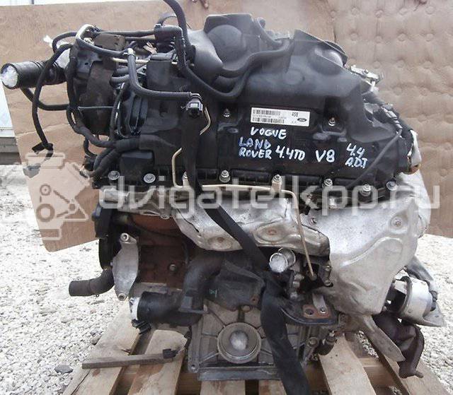 Фото Контрактный (б/у) двигатель 448DT для Land Rover Range Rover 313-340 л.с 32V 4.4 л Дизельное топливо {forloop.counter}}