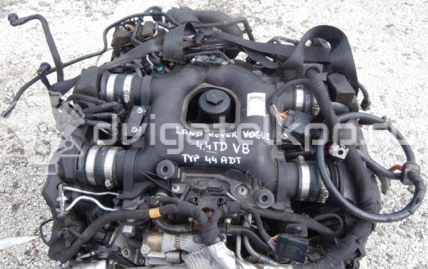 Фото Контрактный (б/у) двигатель 448DT для Land Rover Range Rover 313-340 л.с 32V 4.4 л Дизельное топливо {forloop.counter}}