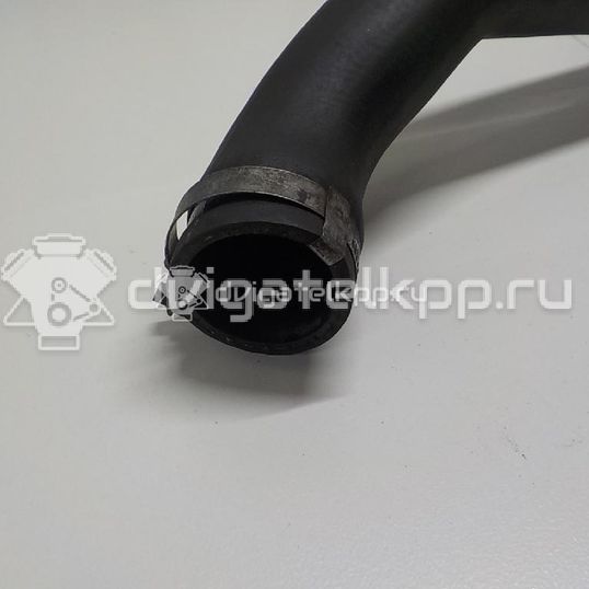 Фото Патрубок интеркулера  1503737 для Ford Transit