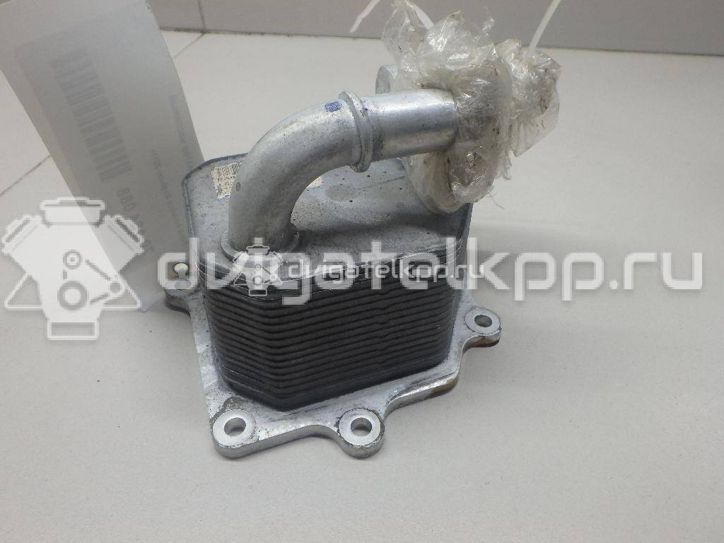 Фото Радиатор масляный  8A8Z6A642A для Ford Falcon {forloop.counter}}