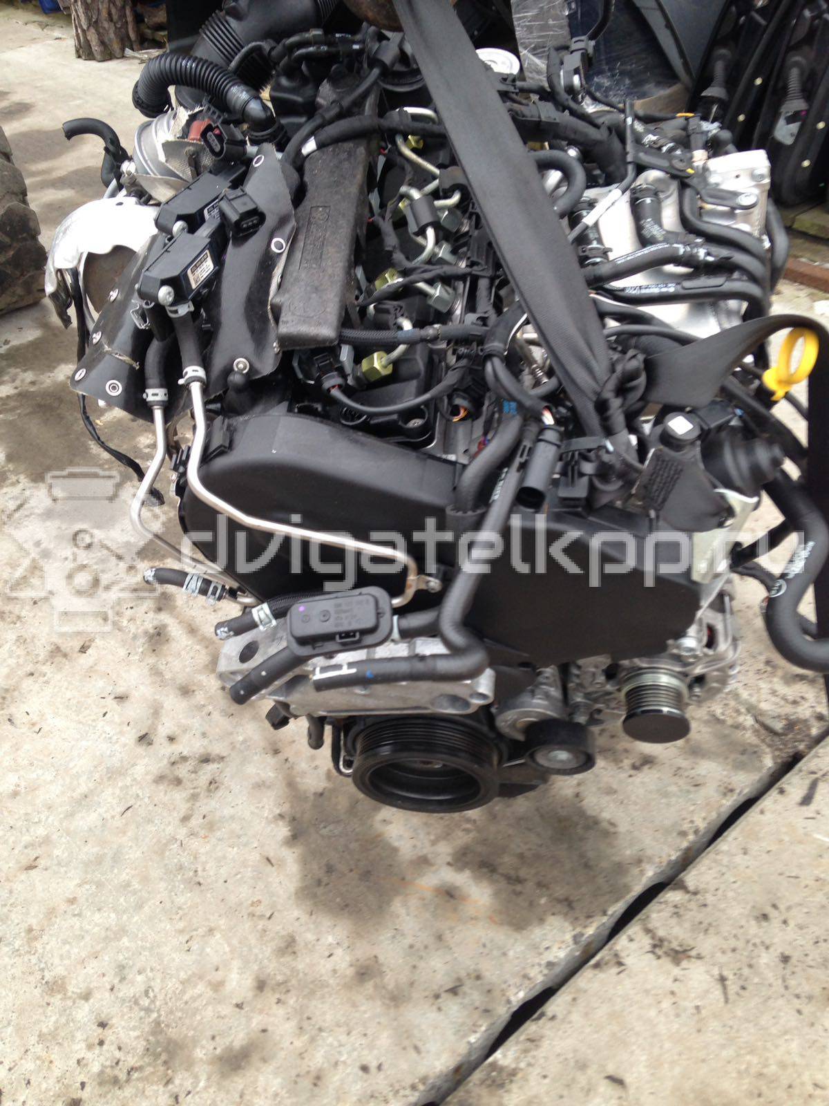 Фото Контрактный (б/у) двигатель CUNA для Audi A3 / Tt 184 л.с 16V 2.0 л Дизельное топливо {forloop.counter}}