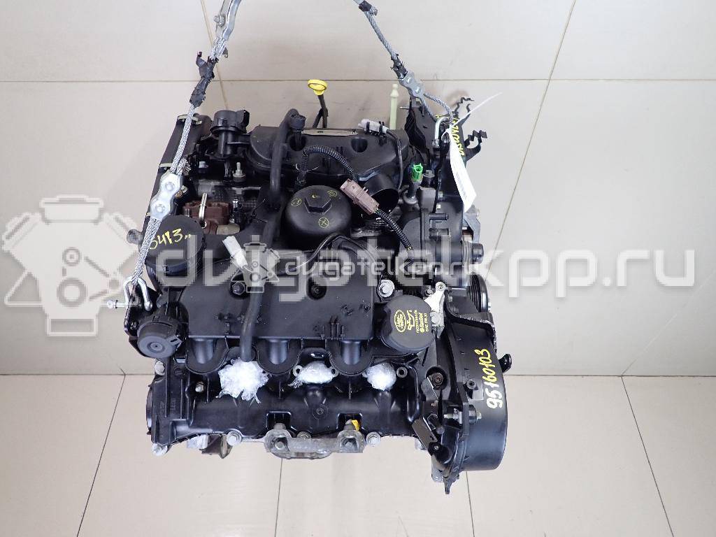 Фото Контрактный (б/у) двигатель 276DT для Ford Australia / Land Rover 190 л.с 24V 2.7 л Дизельное топливо {forloop.counter}}