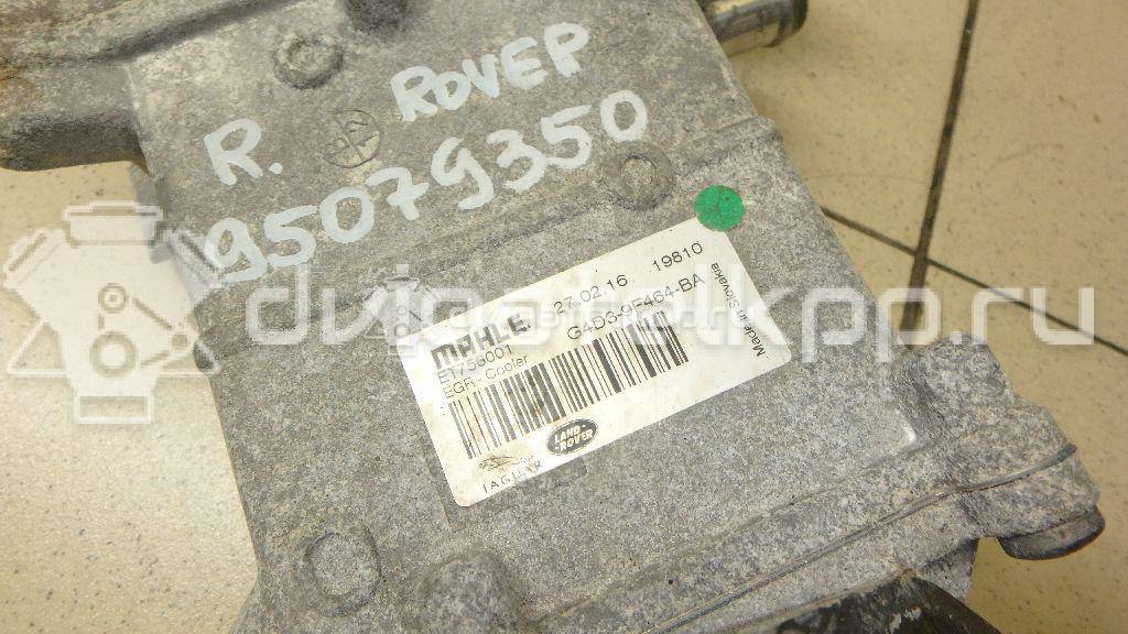 Фото Радиатор системы EGR  lr073730 для Jaguar / Land Rover {forloop.counter}}