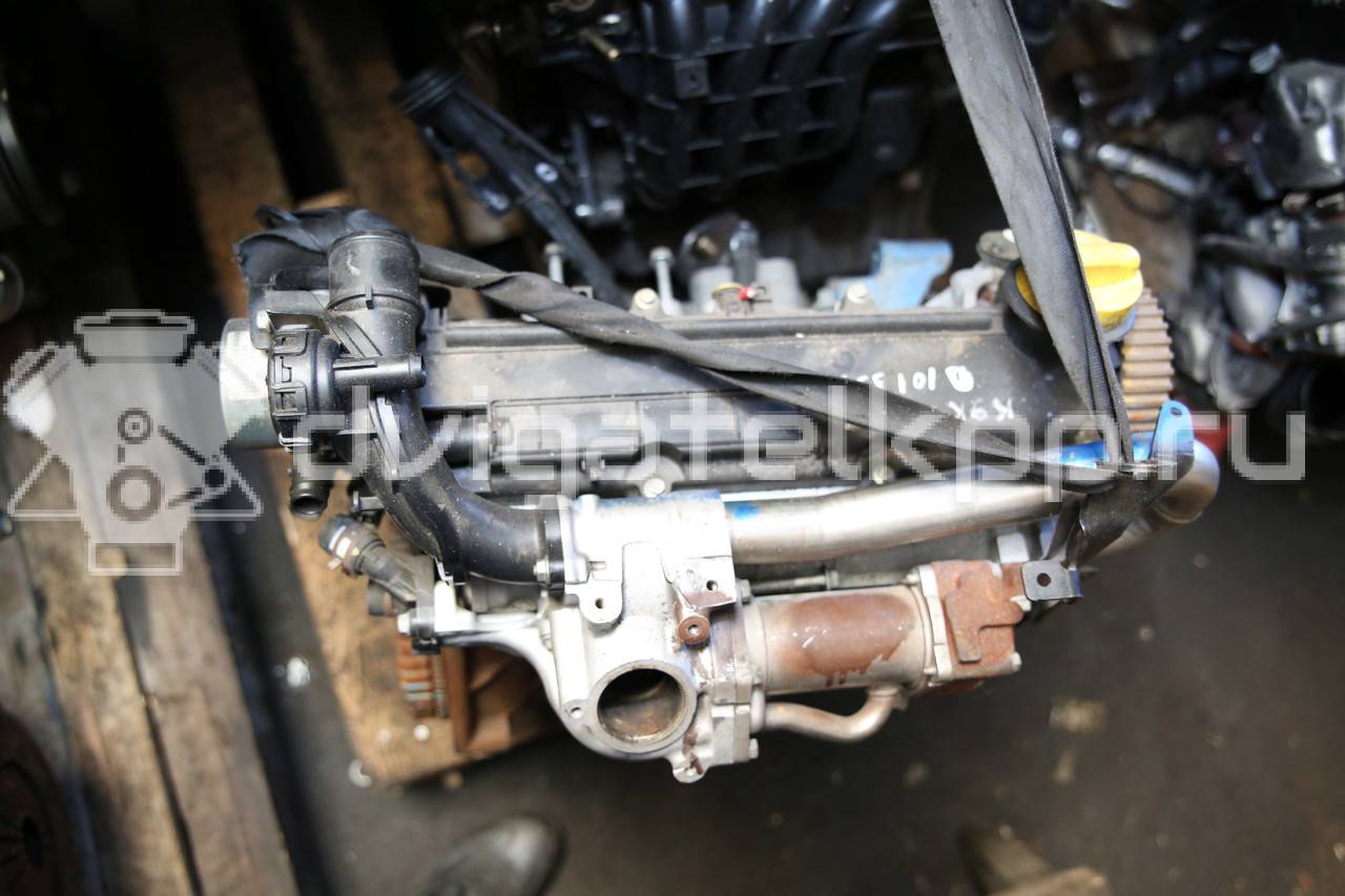 Фото Контрактный (б/у) двигатель K9K для Nissan Pulsar C13 / Tiida 65-110 л.с 8V 1.5 л Дизельное топливо {forloop.counter}}