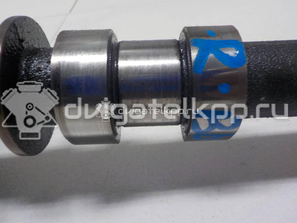 Фото Распредвал выпускной  1350251010 для Lexus / Toyota {forloop.counter}}