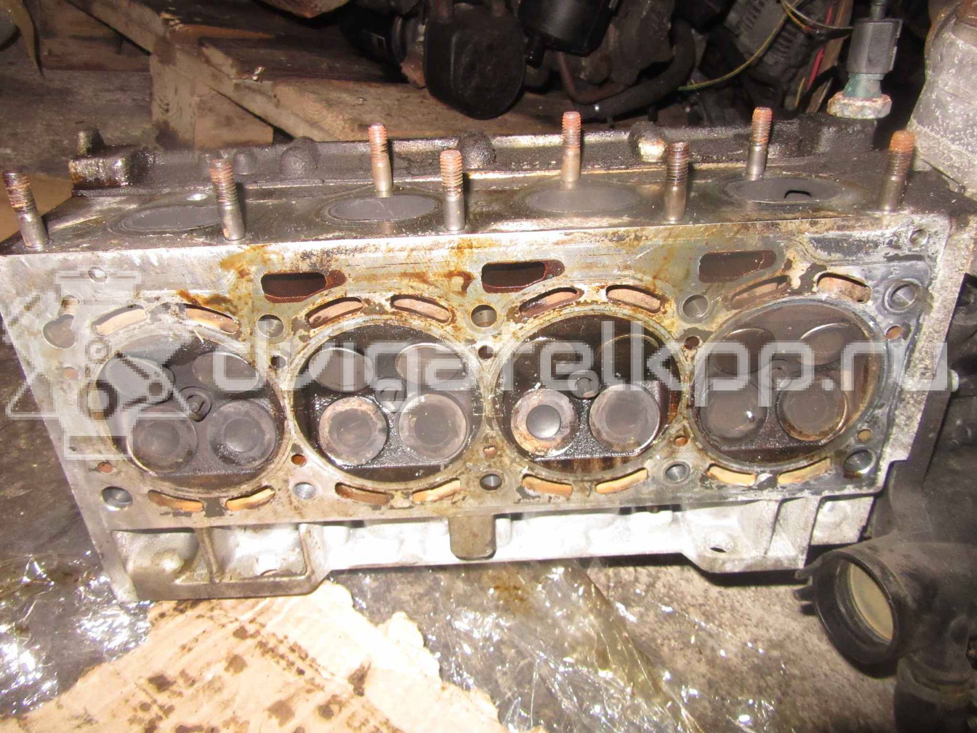 Фото Головка блока  036103264CX для Volkswagen Bora / Golf {forloop.counter}}