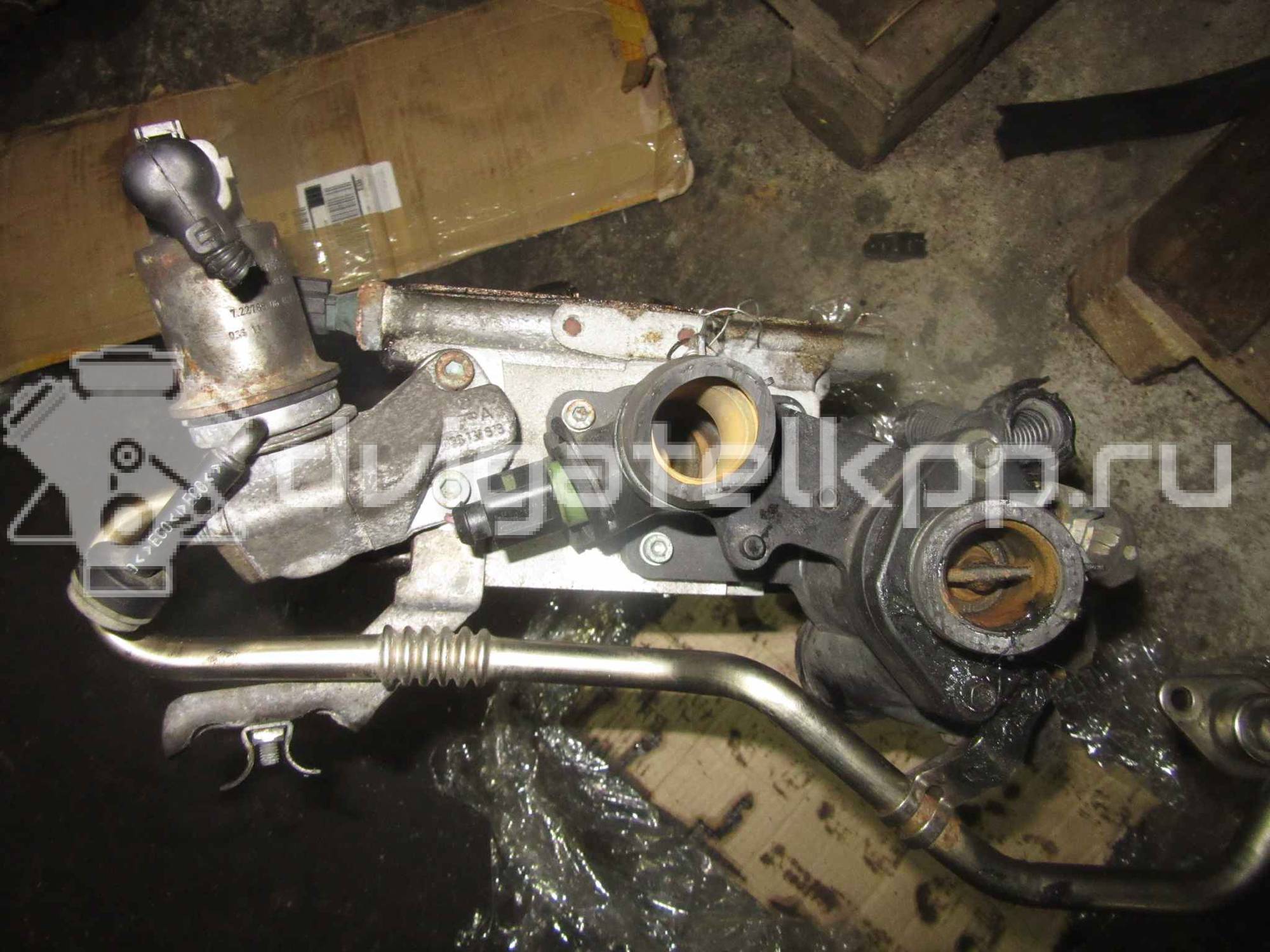 Фото Головка блока  036103264CX для Volkswagen Bora / Golf {forloop.counter}}