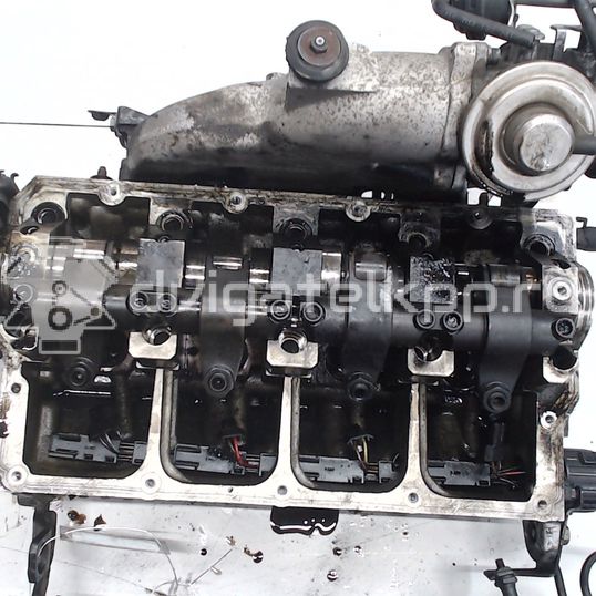 Фото Головка блока  для Ford / Seat