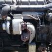 Фото Контрактный (б/у) двигатель XE 390 C для Mahindra / Daf / Hyundai 530 л.с 24V 12.6 л Дизельное топливо {forloop.counter}}