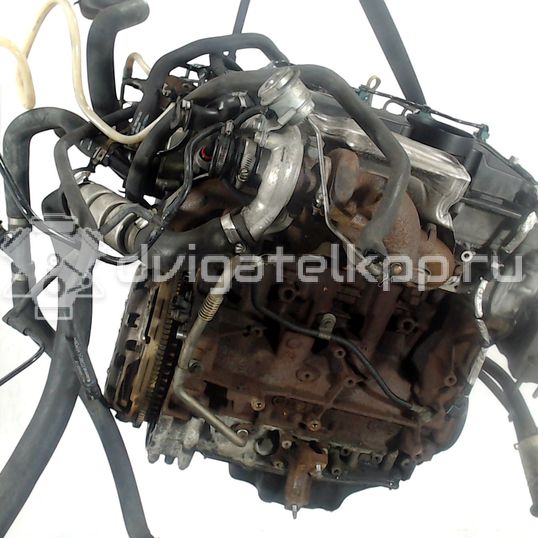 Фото Контрактный (б/у) двигатель P8FB для Ford Transit 85 л.с 16V 2.2 л Дизельное топливо 1709003