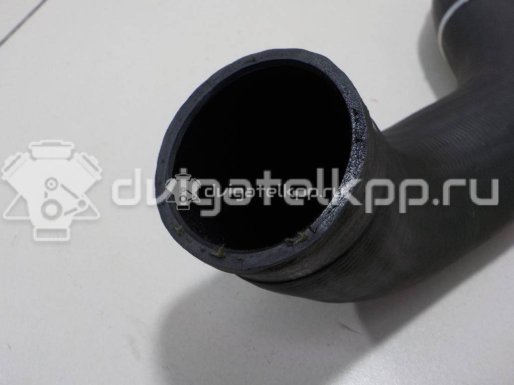 Фото Патрубок интеркулера  14463EB316 для Nissan Navara / Np300 / Pathfinder {forloop.counter}}