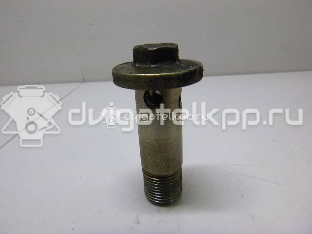 Фото Болт полый  213132J601 для Nissan X-Trail {forloop.counter}}