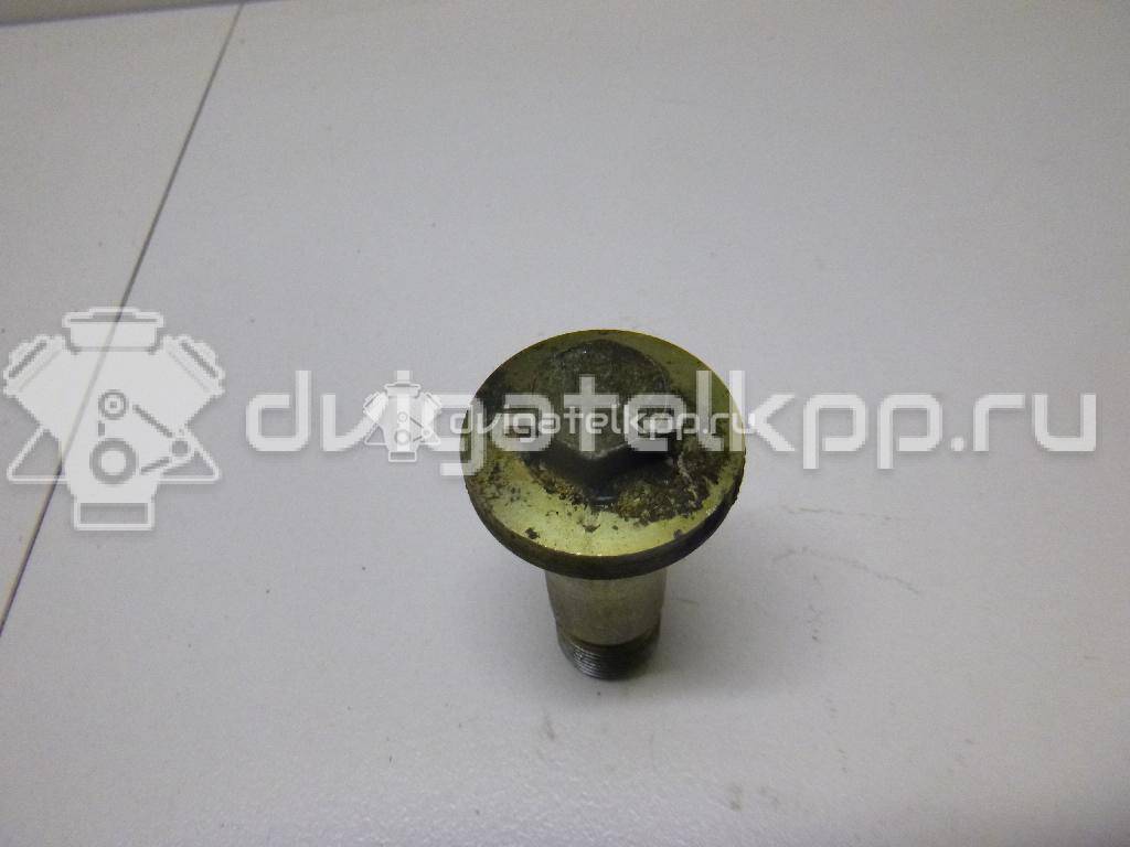 Фото Болт полый  213132J601 для Nissan X-Trail {forloop.counter}}