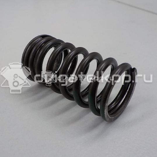 Фото Пружина клапана впускного  13211ck80a для Venucia / Suzuki / Samsung / Nissan / Nissan (Dongfeng)