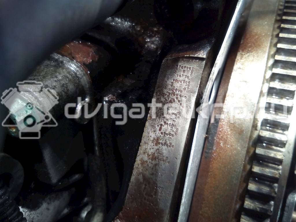 Фото Контрактный (б/у) двигатель BDK для Volkswagen Golf 75 л.с 8V 2.0 л Дизельное топливо {forloop.counter}}