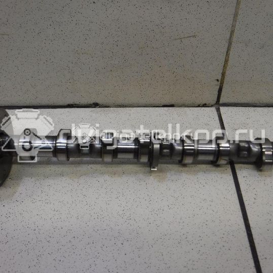 Фото Распредвал впускной  06H109021K для seat Alhambra