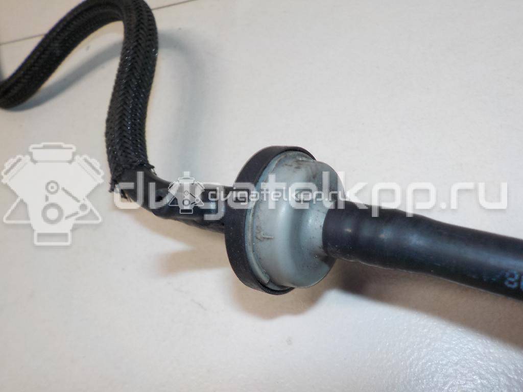 Фото Трубка вакуумная для двигателя G8DB для Ford Focus 109 л.с 16V 1.6 л Дизельное топливо {forloop.counter}}
