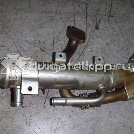 Фото Радиатор системы EGR  03L131512AH для seat Exeo