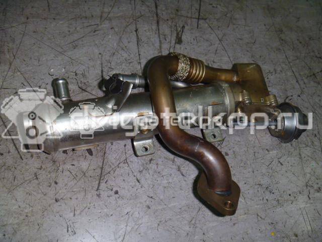 Фото Радиатор системы EGR  03L131512AH для seat Exeo {forloop.counter}}