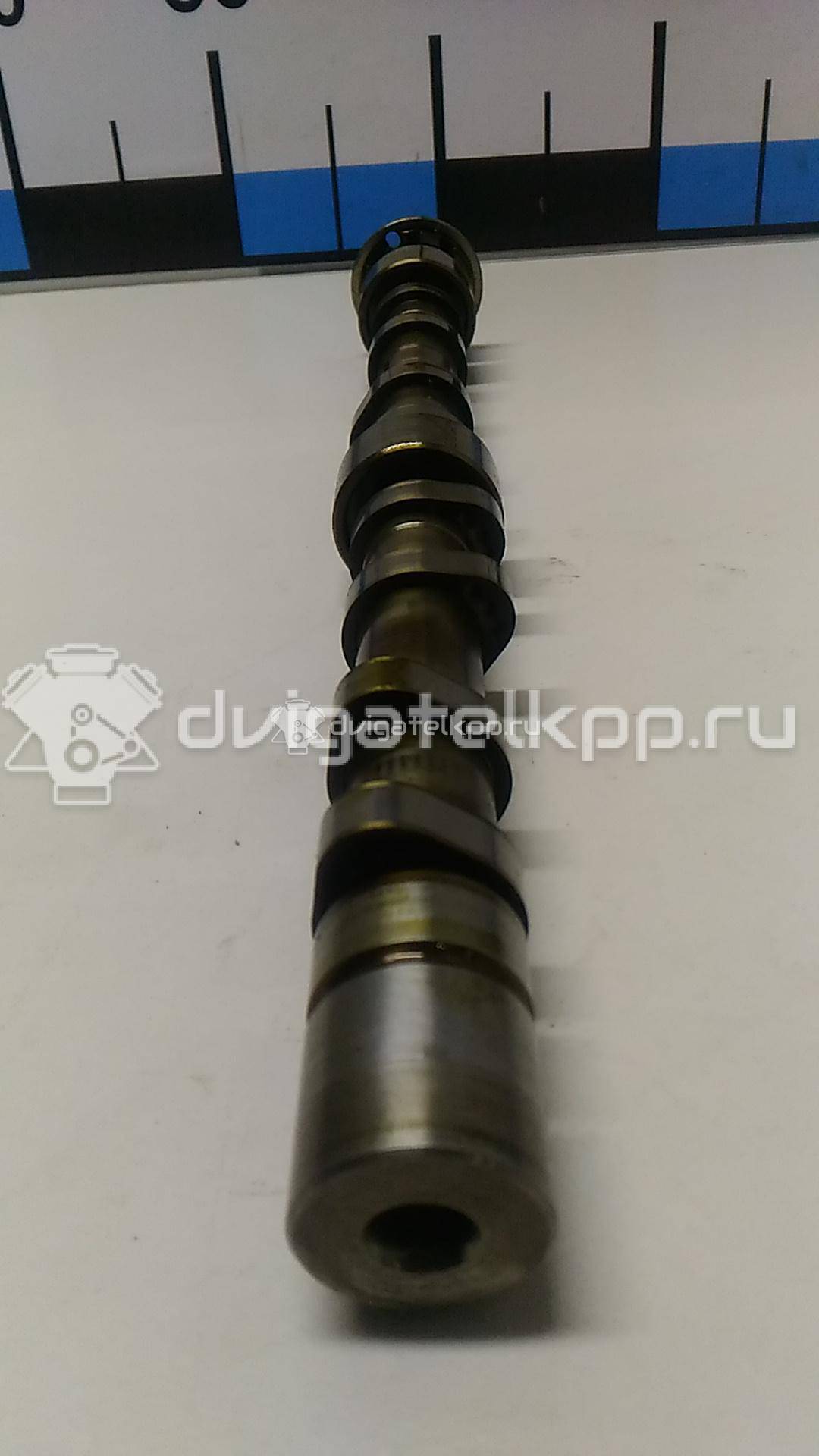 Фото Распредвал выпускной  03C109101DF для seat Ibiza V {forloop.counter}}