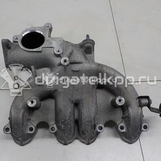 Фото Коллектор впускной  038129713bm для audi A4 [B6]