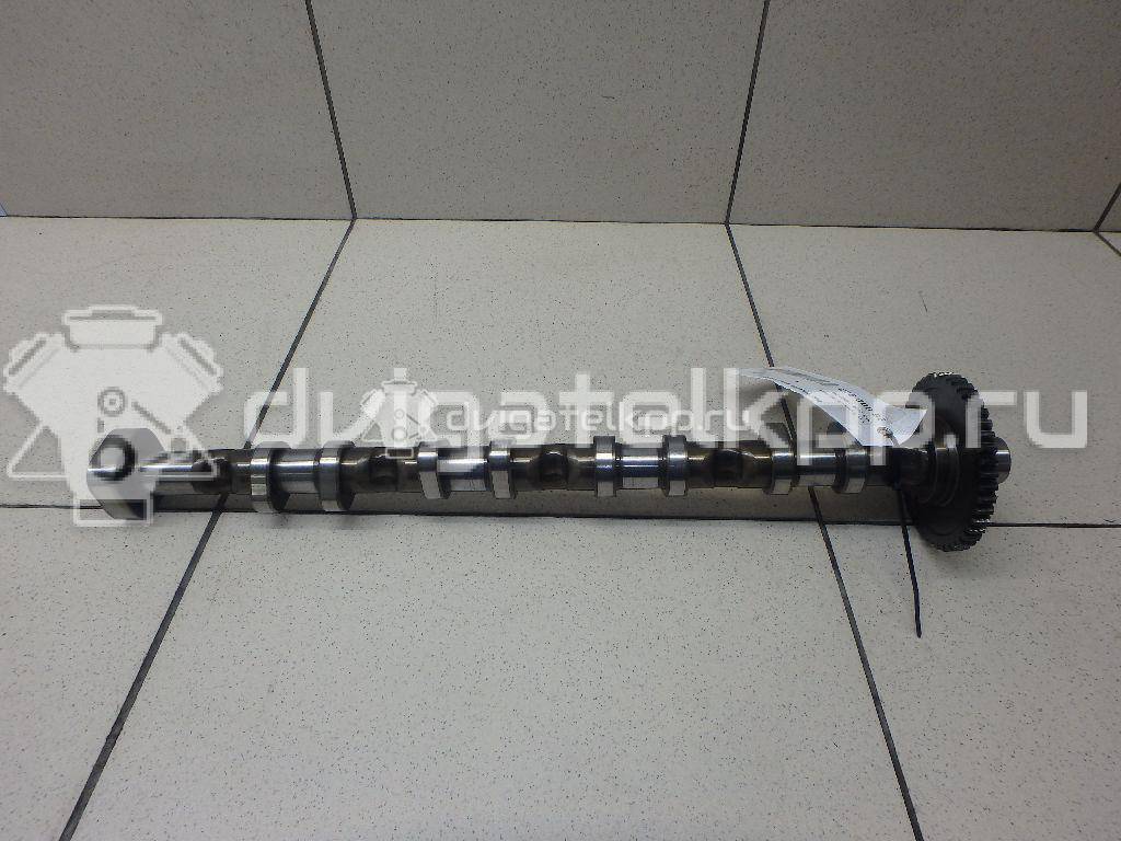 Фото Распредвал выпускной  06H109022BB для Volkswagen Jetta {forloop.counter}}