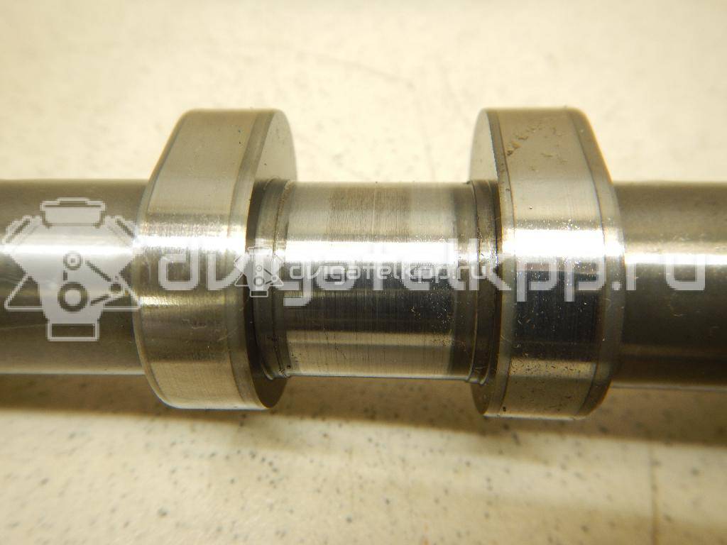 Фото Распредвал выпускной  06H109022BB для Volkswagen Jetta {forloop.counter}}