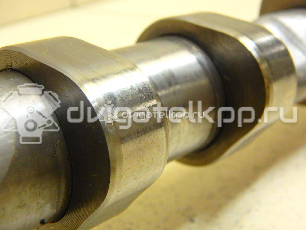 Фото Распредвал выпускной  06H109022BB для Volkswagen Jetta {forloop.counter}}