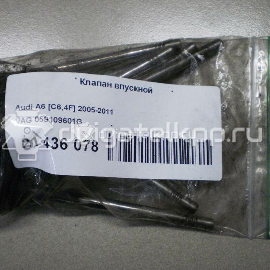 Фото Клапан впускной  059109601g для Volkswagen Phaeton 3D / Touareg