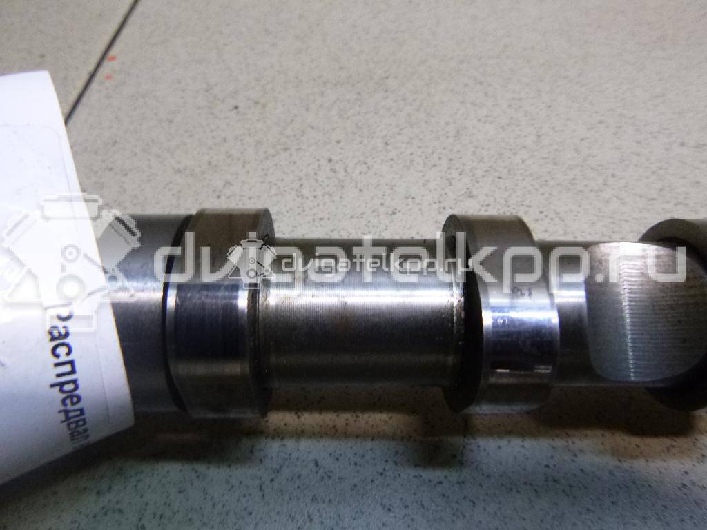 Фото Распредвал впускной  059109021EE для vw Touareg {forloop.counter}}