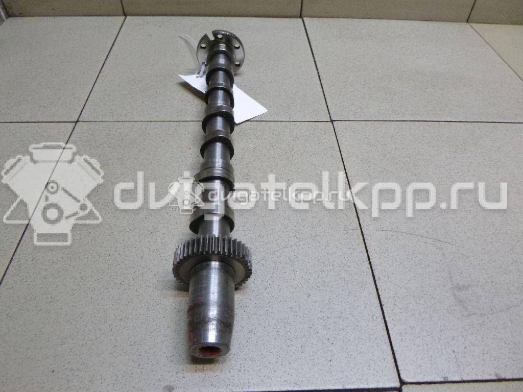 Фото Распредвал впускной  059109021EE для vw Touareg {forloop.counter}}