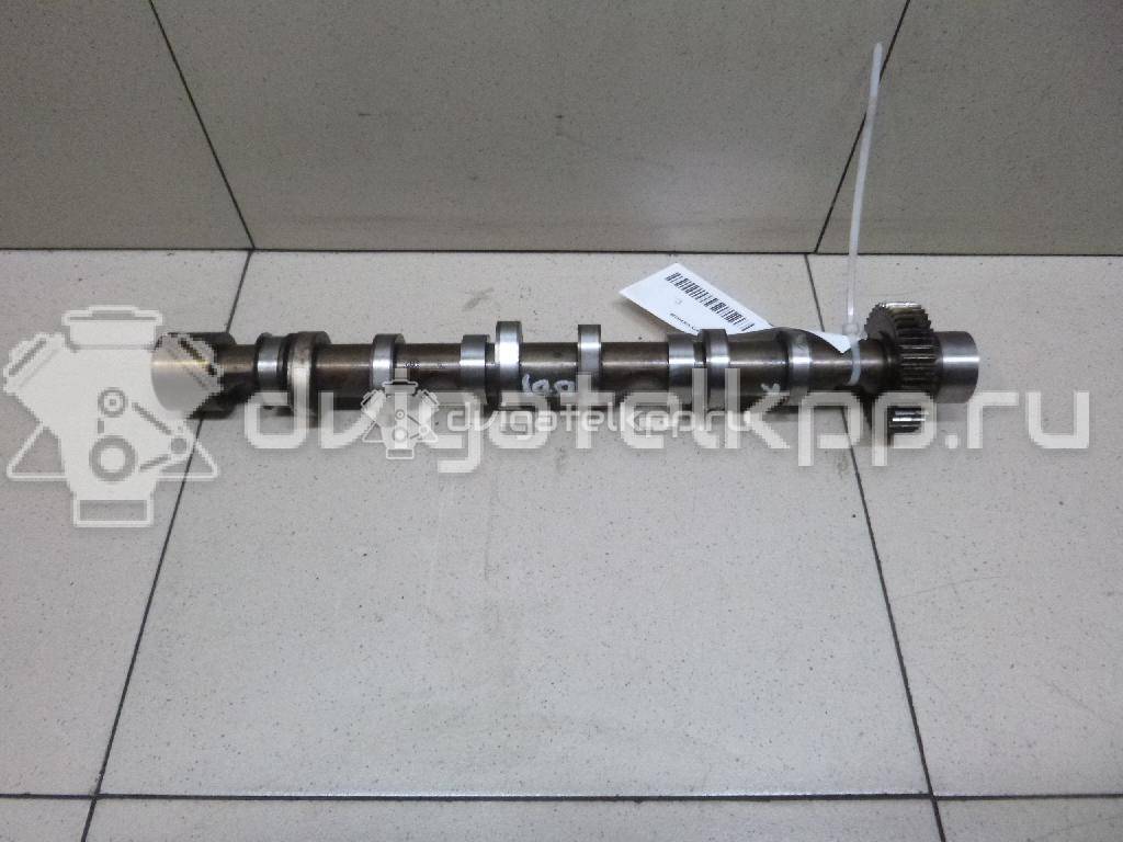 Фото Распредвал выпускной  059109022BE для Volkswagen Phaeton 3D {forloop.counter}}
