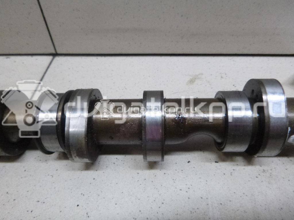 Фото Распредвал выпускной  059109022BE для Volkswagen Phaeton 3D {forloop.counter}}