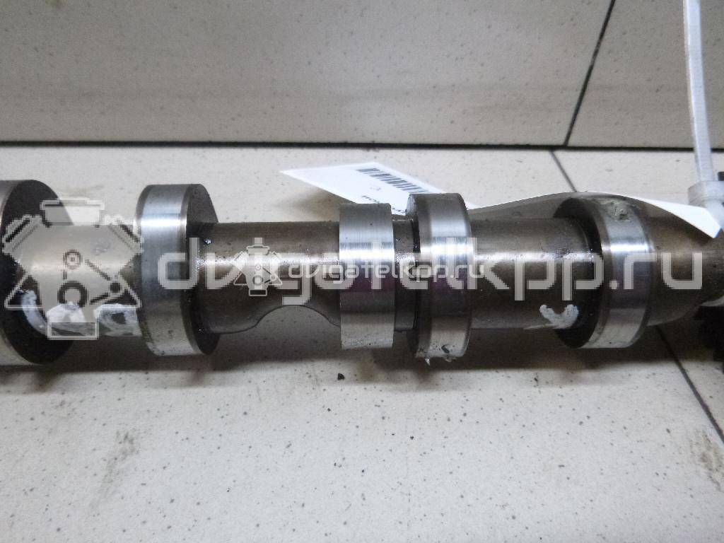 Фото Распредвал выпускной  059109022BE для Volkswagen Phaeton 3D {forloop.counter}}