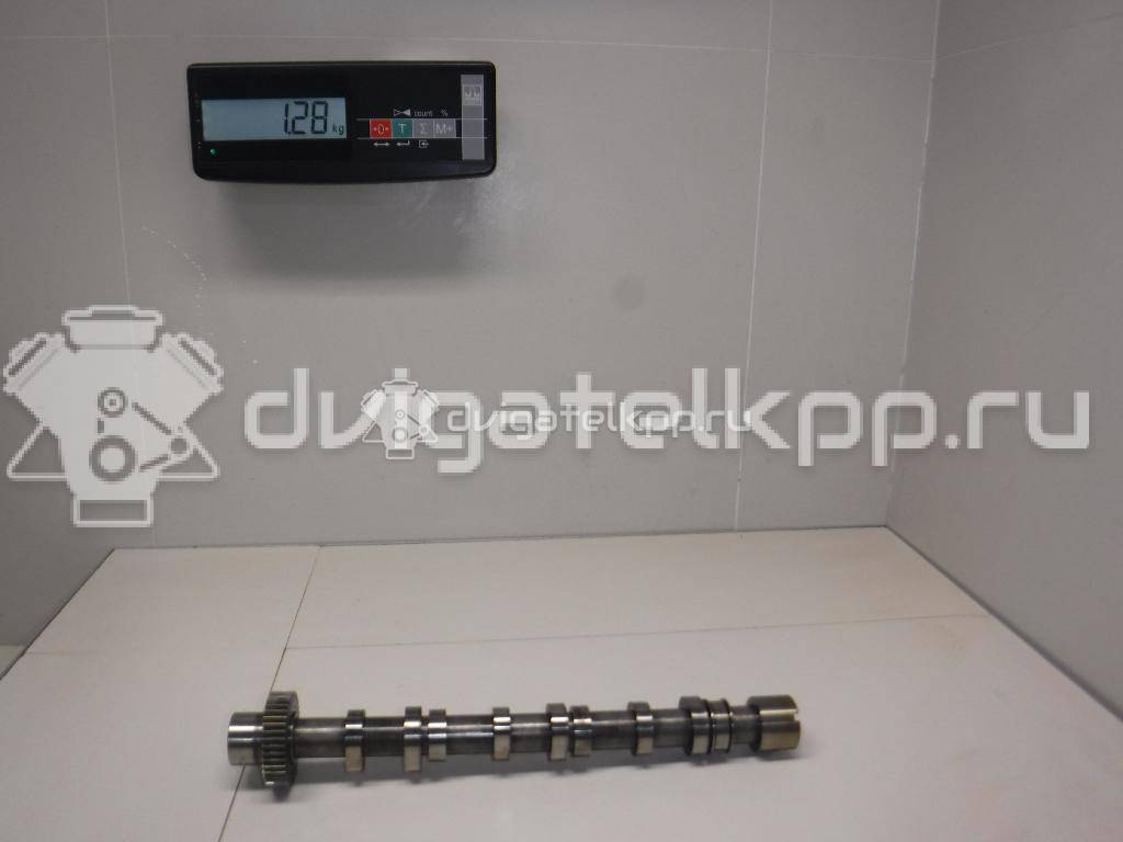 Фото Распредвал выпускной  059109022BE для Volkswagen Phaeton 3D {forloop.counter}}