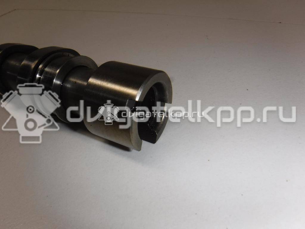 Фото Распредвал выпускной  059109022BE для Volkswagen Phaeton 3D {forloop.counter}}