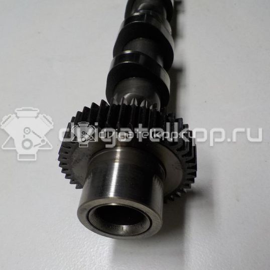 Фото Распредвал выпускной  059109022BE для Volkswagen Phaeton 3D
