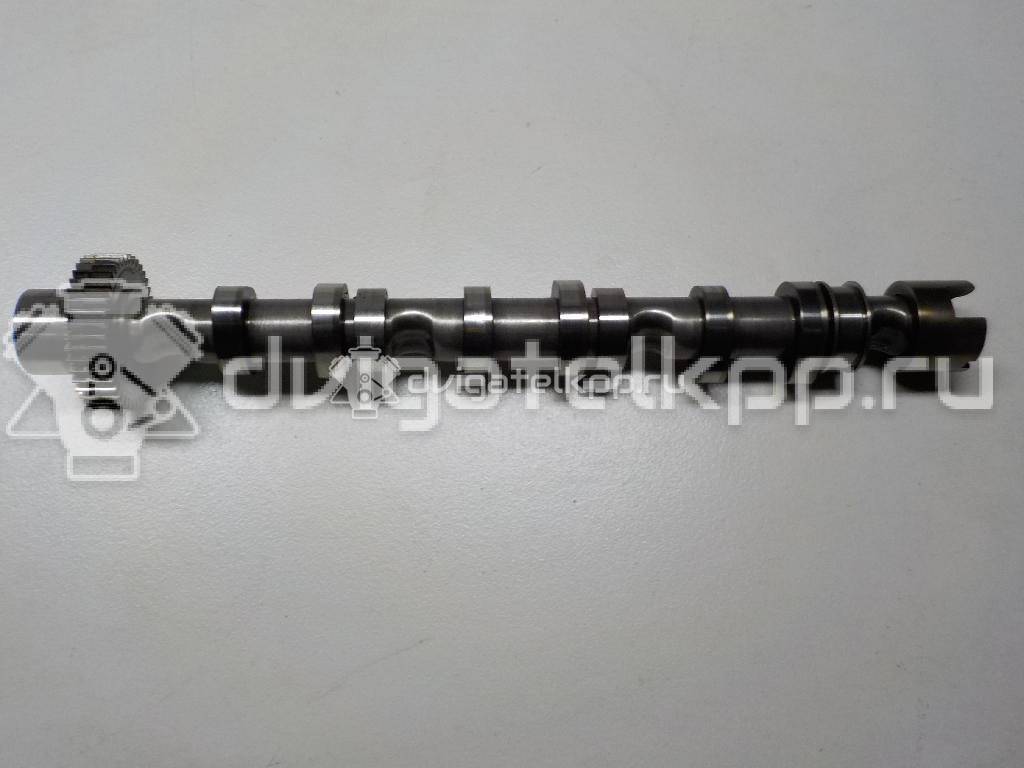 Фото Распредвал выпускной  059109022BE для Volkswagen Phaeton 3D {forloop.counter}}