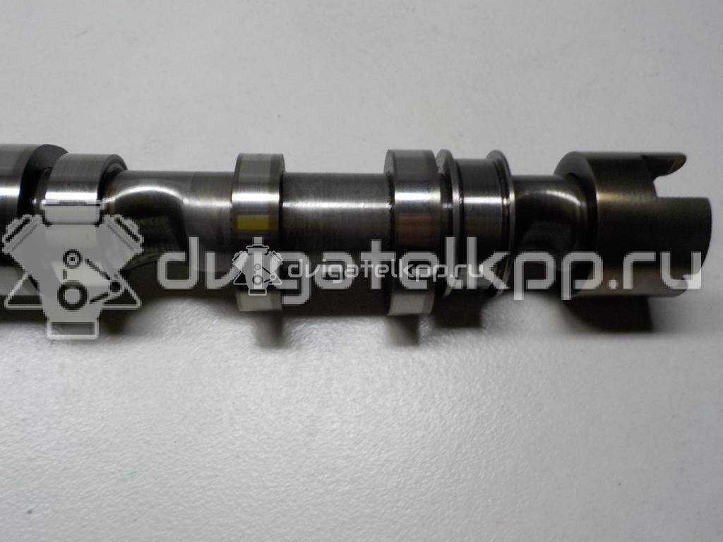 Фото Распредвал выпускной  059109022BE для Volkswagen Phaeton 3D {forloop.counter}}