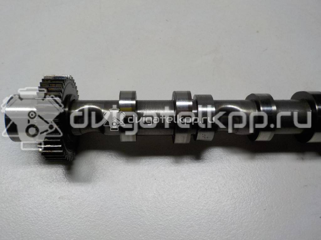 Фото Распредвал выпускной  059109022BE для Volkswagen Phaeton 3D {forloop.counter}}