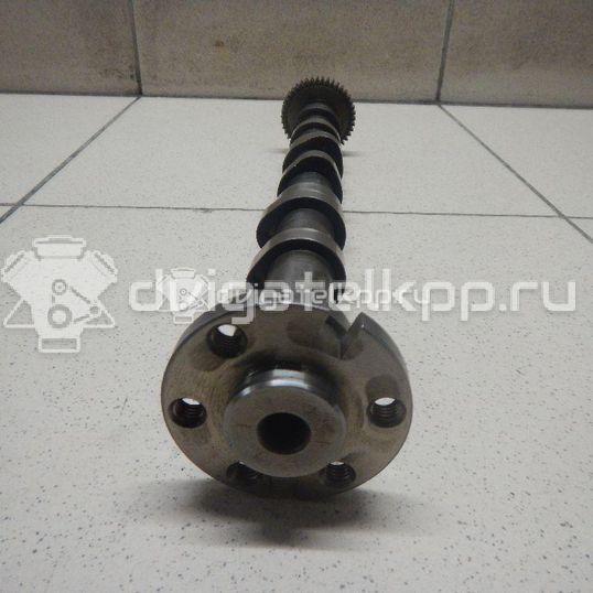 Фото Распредвал выпускной  059109022be для Volkswagen Phaeton 3D