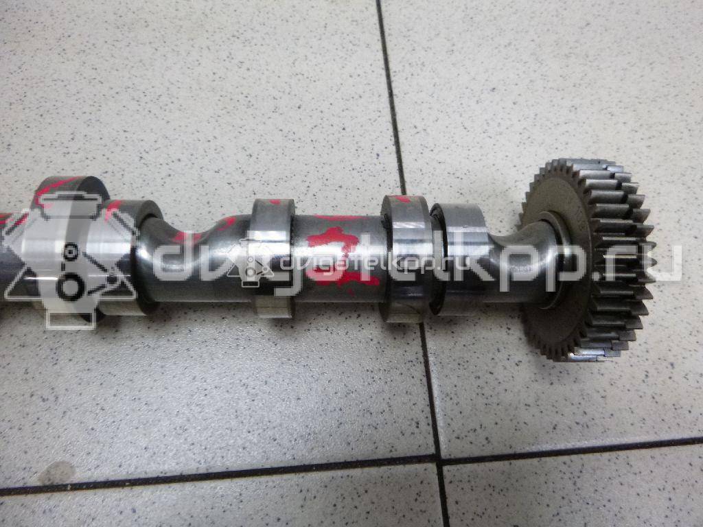 Фото Распредвал выпускной  059109009bl для audi A4 [B7] {forloop.counter}}