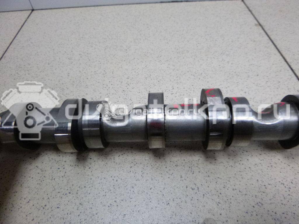 Фото Распредвал выпускной  059109009bl для audi A4 [B7] {forloop.counter}}