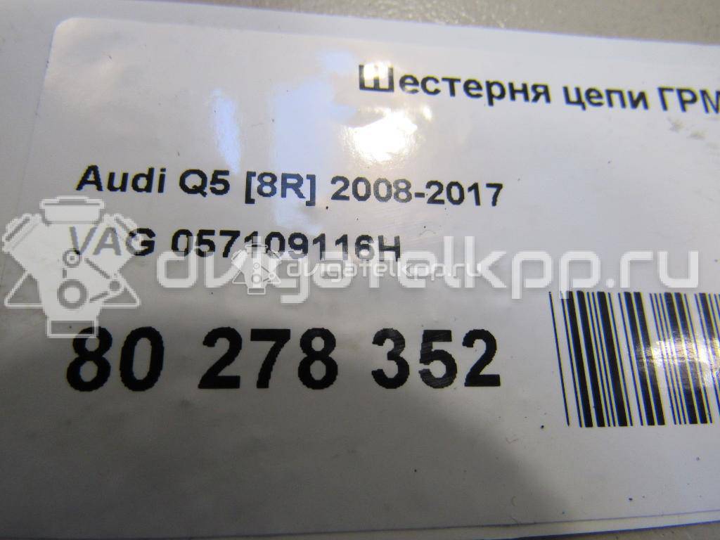 Фото Шестерня цепи ГРМ  057109116h для audi A8 [4H] {forloop.counter}}