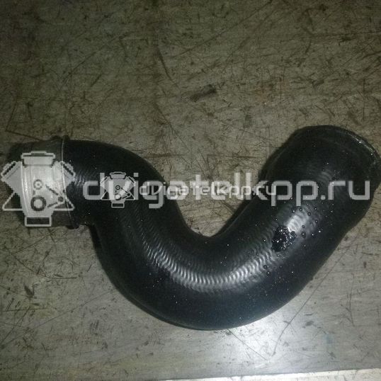 Фото Патрубок интеркулера  для Volkswagen / Seat