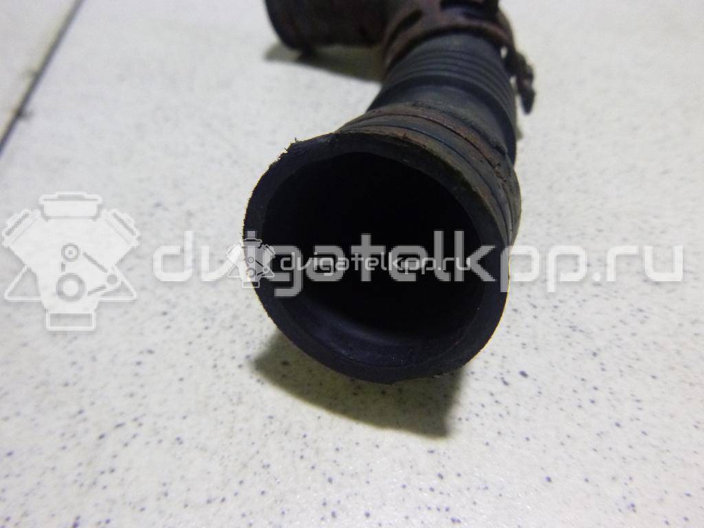 Фото Трубка картерных газов  038103493AS для Volkswagen Transporter / Multivan {forloop.counter}}